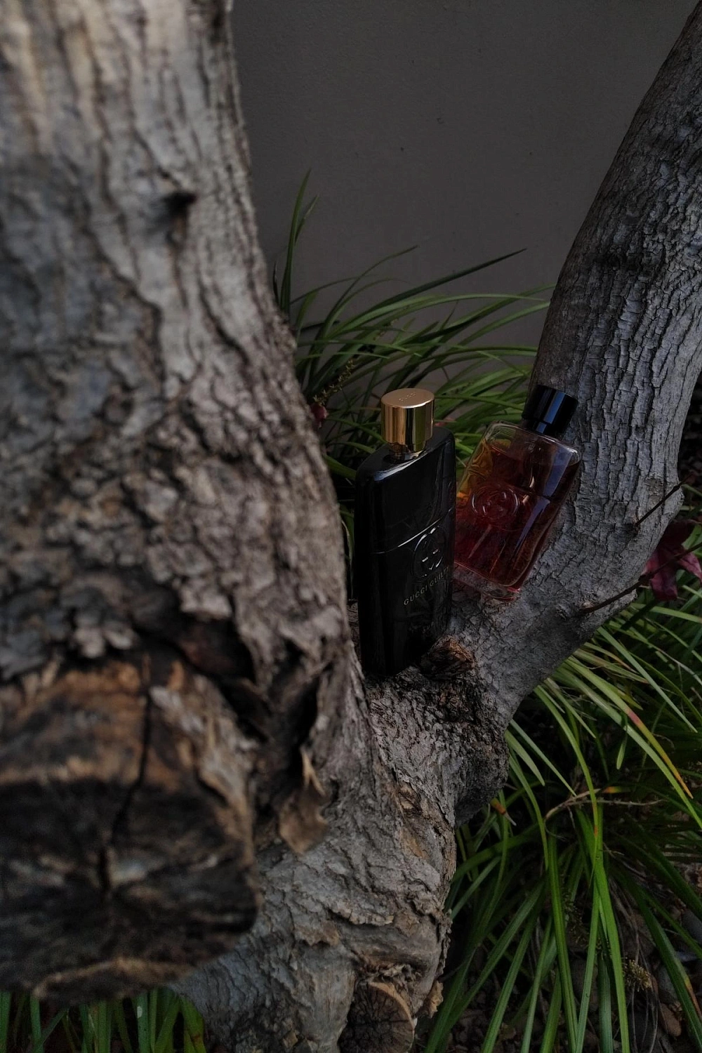 Gucci Guilty Oud