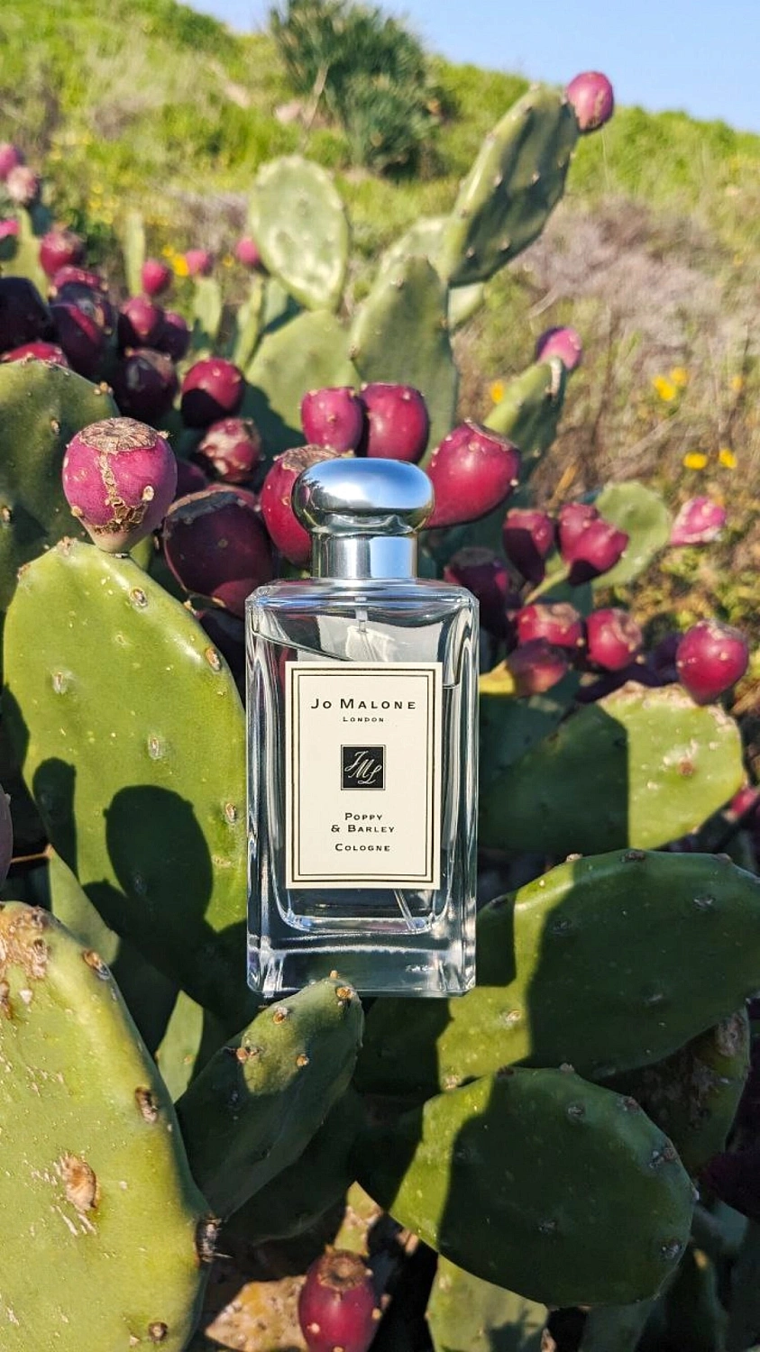 Jo Malone Poppy & Barley (2019)