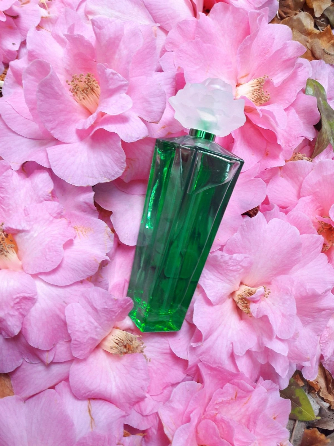 Elizabeth Taylor Gardenia