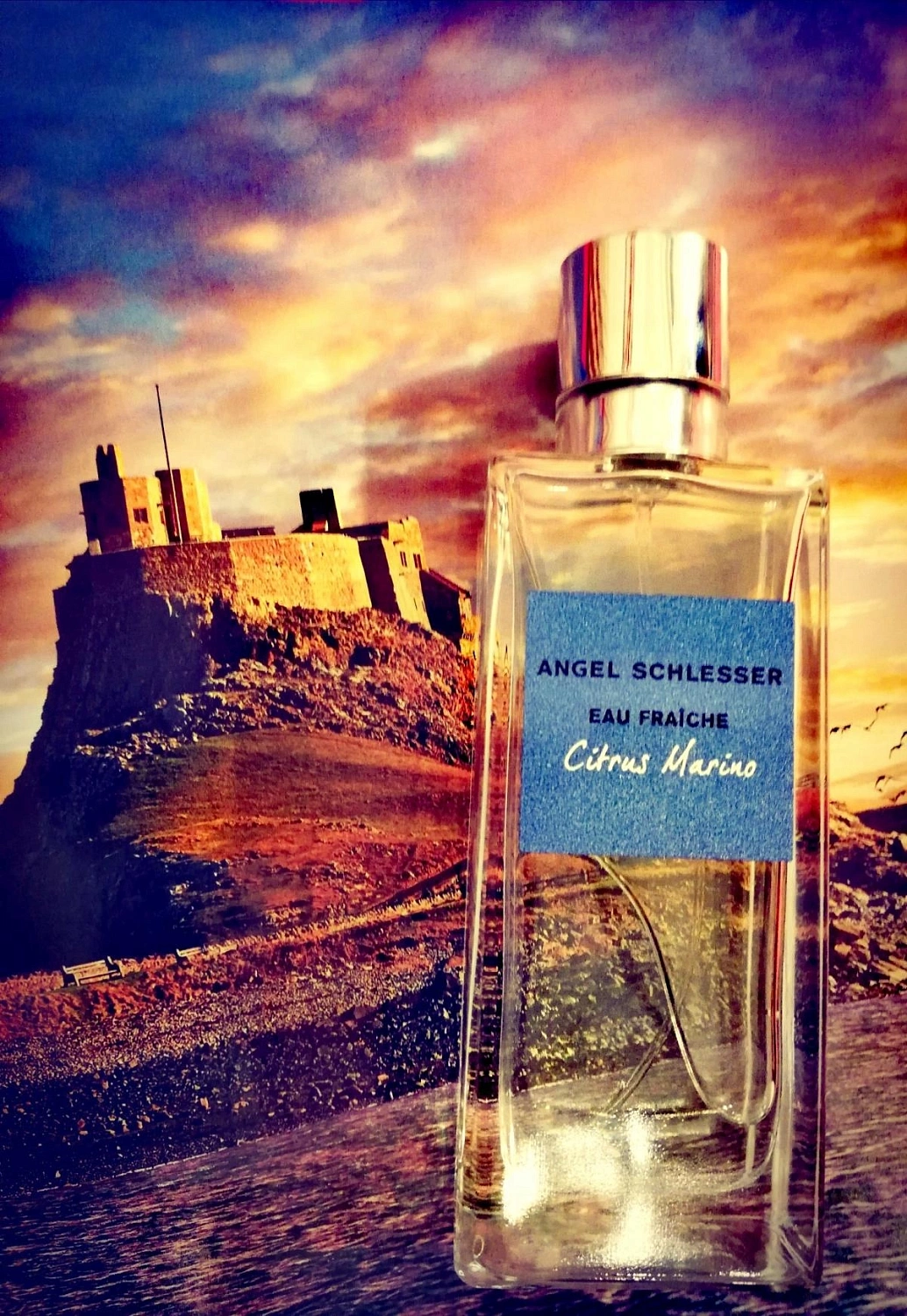 Angel Schlesser Eau Fraiche Citrus Marino