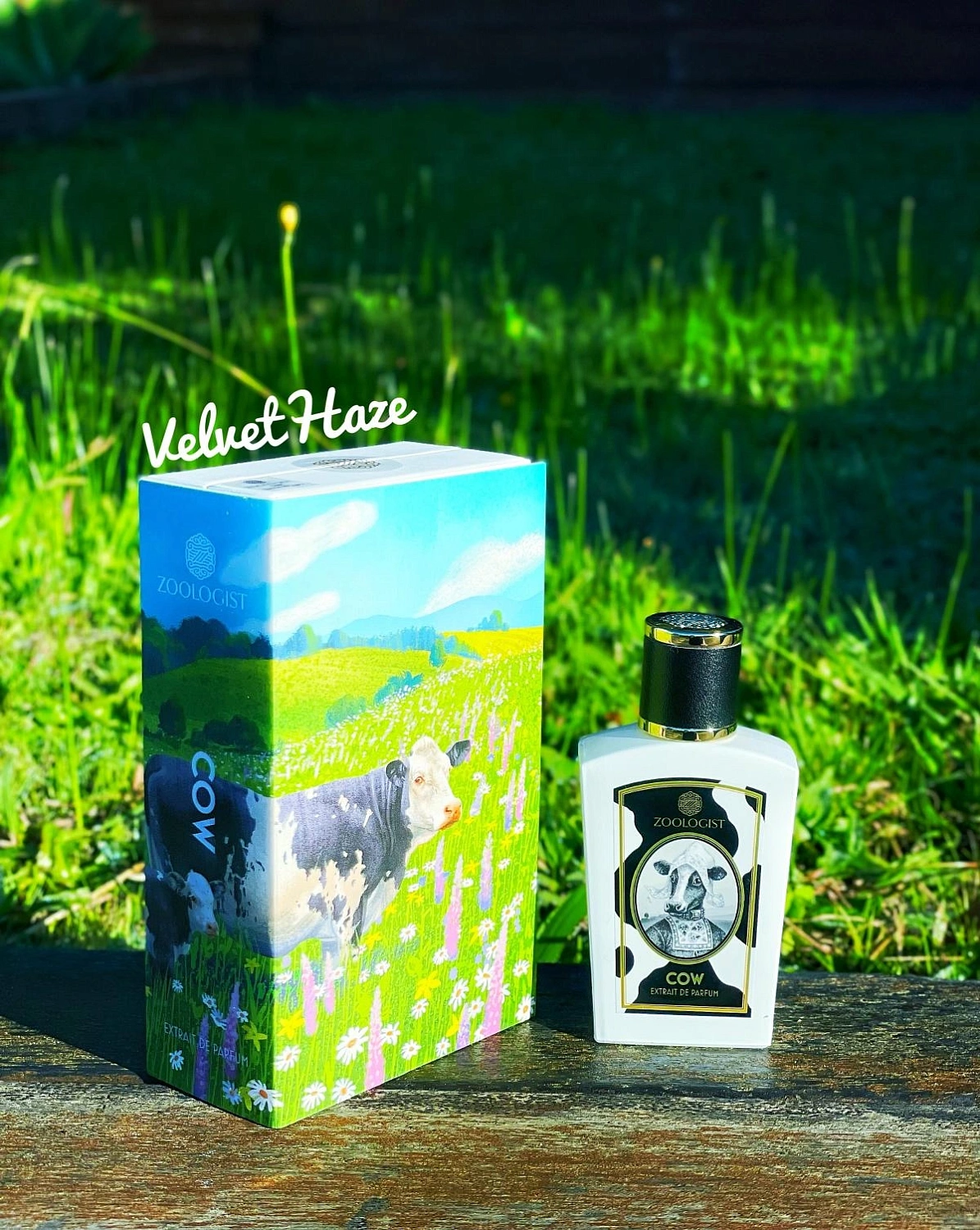 Zoologist Perfumes Cow