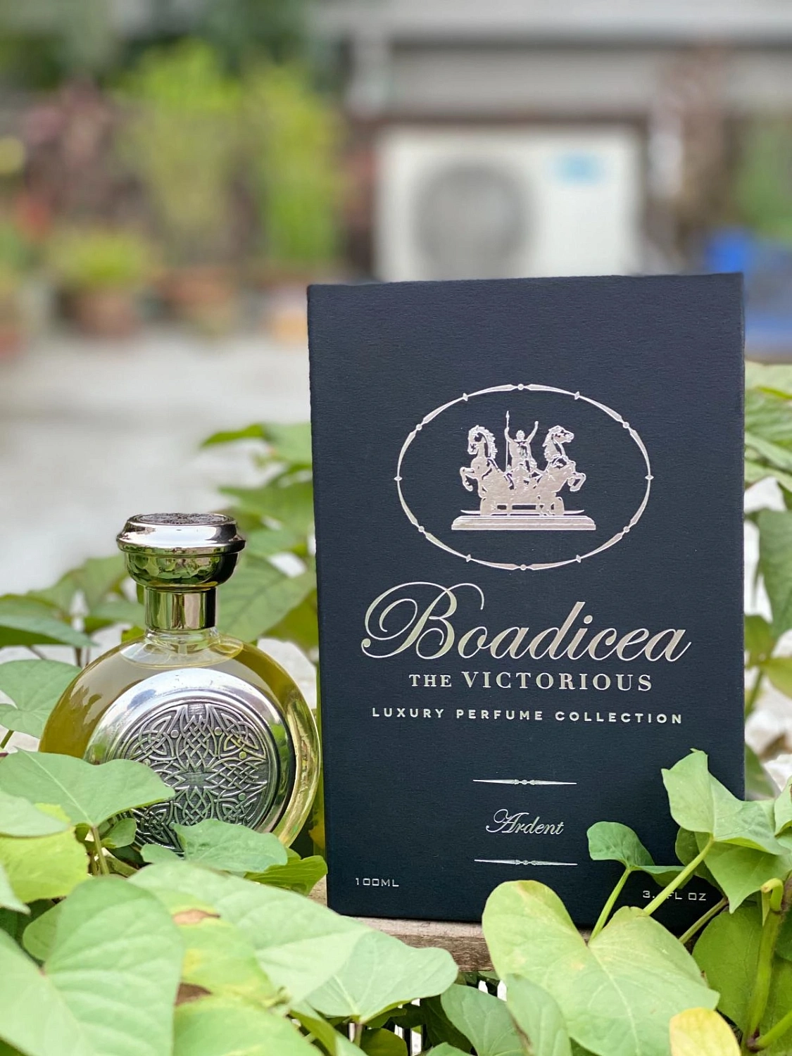 Boadicea the Victorious Ardent